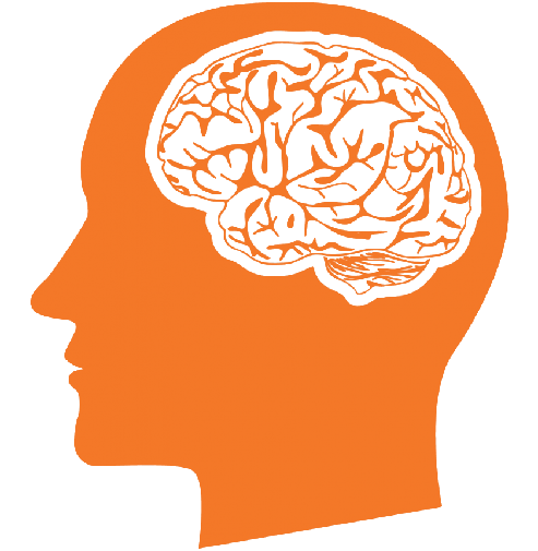 brain profile-fococlipping-standard